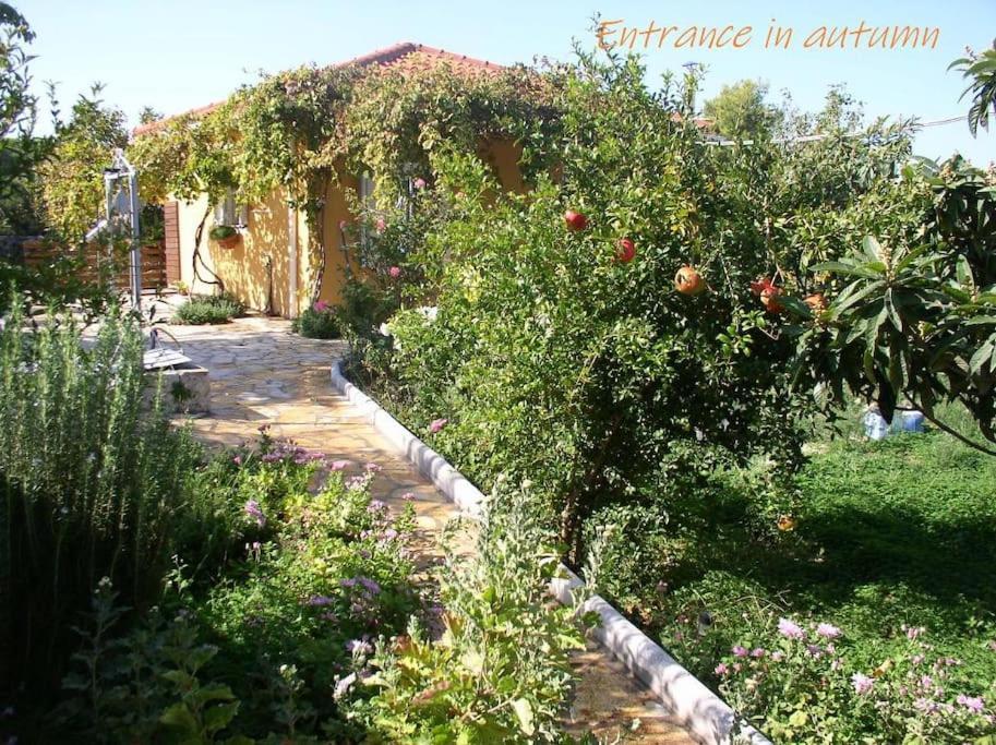 Adonino Residence-The House Of Pomegranates Lakíthra Eksteriør bilde