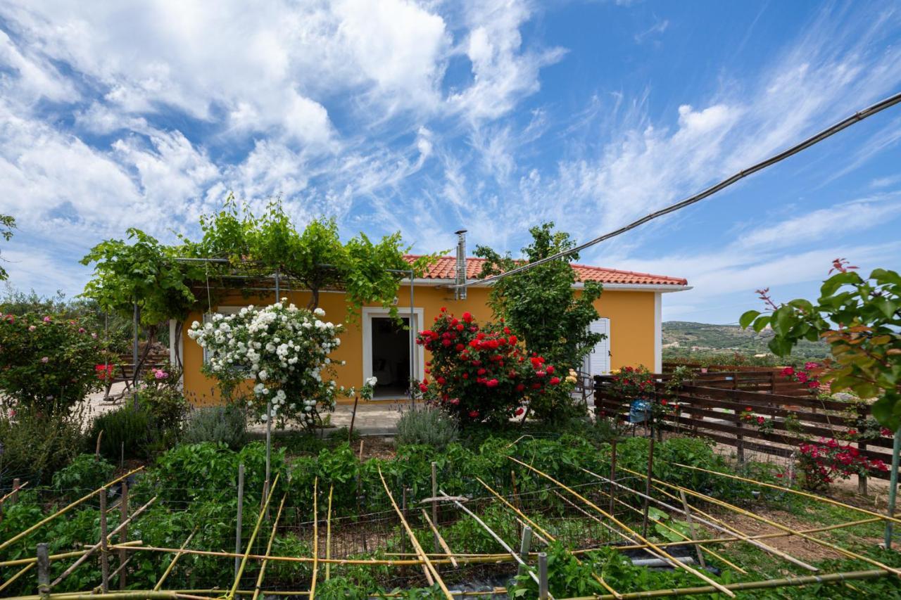 Adonino Residence-The House Of Pomegranates Lakíthra Eksteriør bilde